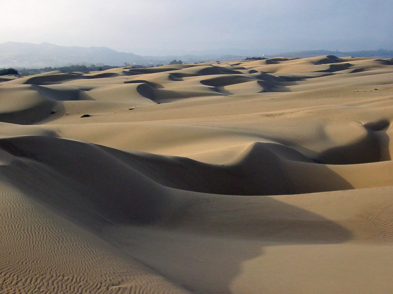 Guadalupe-Nipomo Dunes