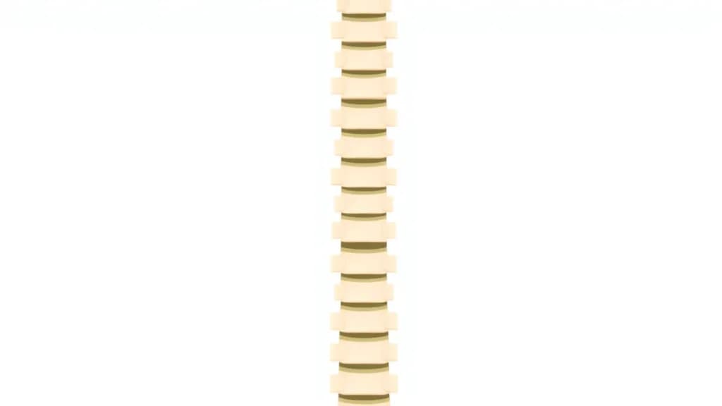 Pilloud Chiropractic