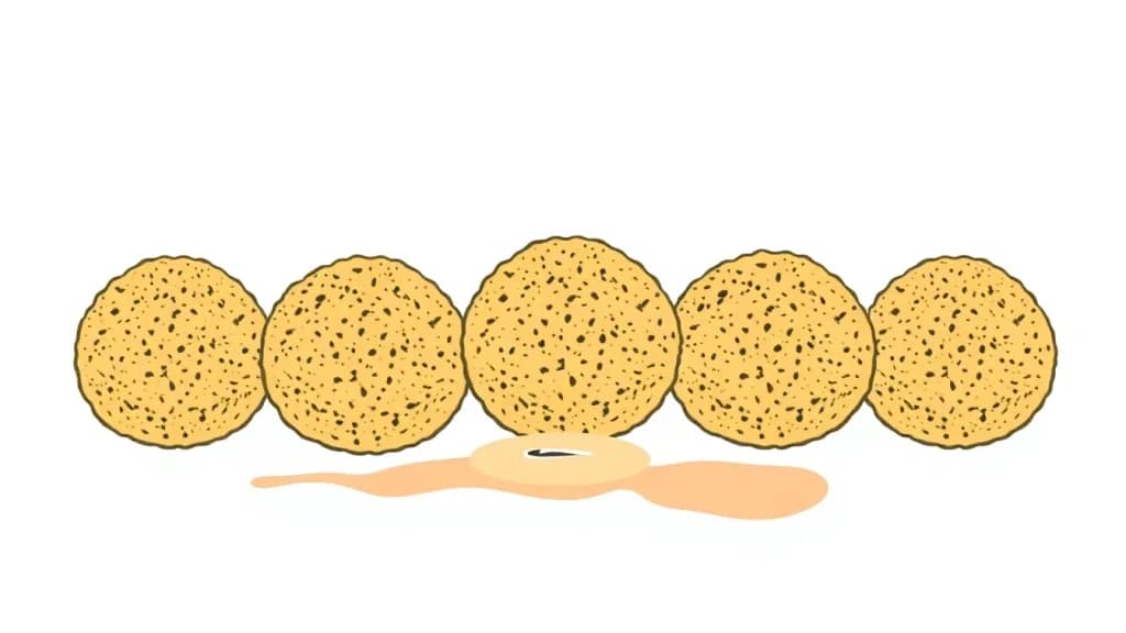 King Falafel