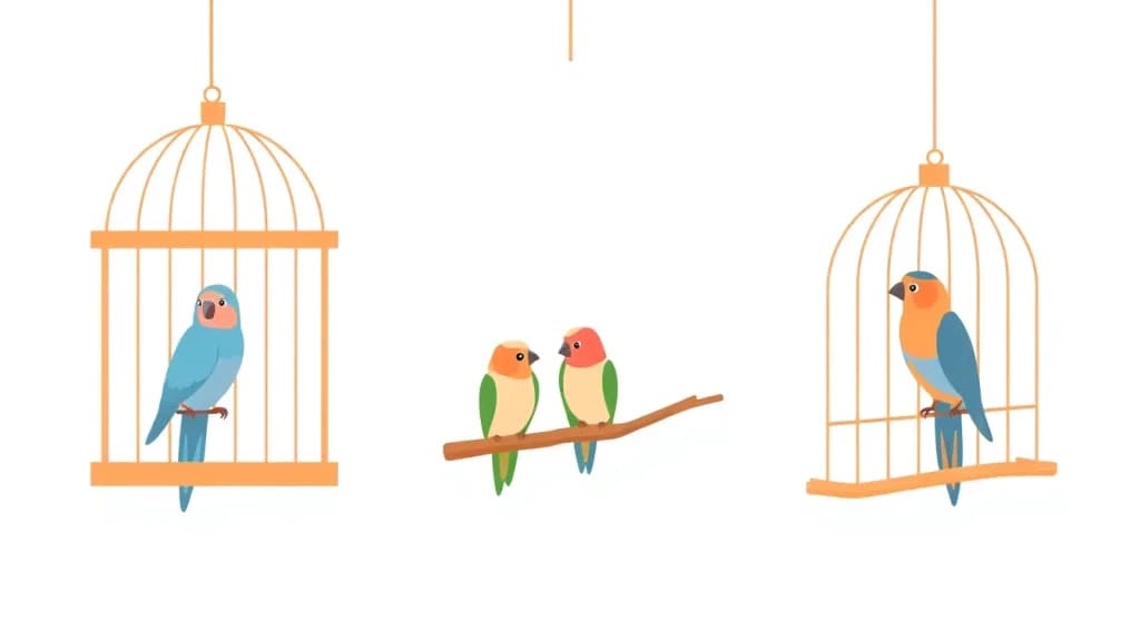 Discount Birds