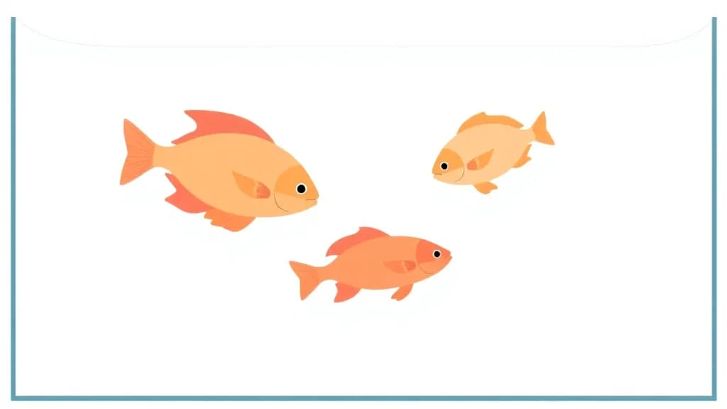 The Aquarium Connection