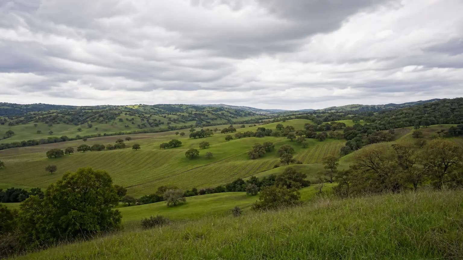 Cooldown in the forecast this week for Paso Robles
