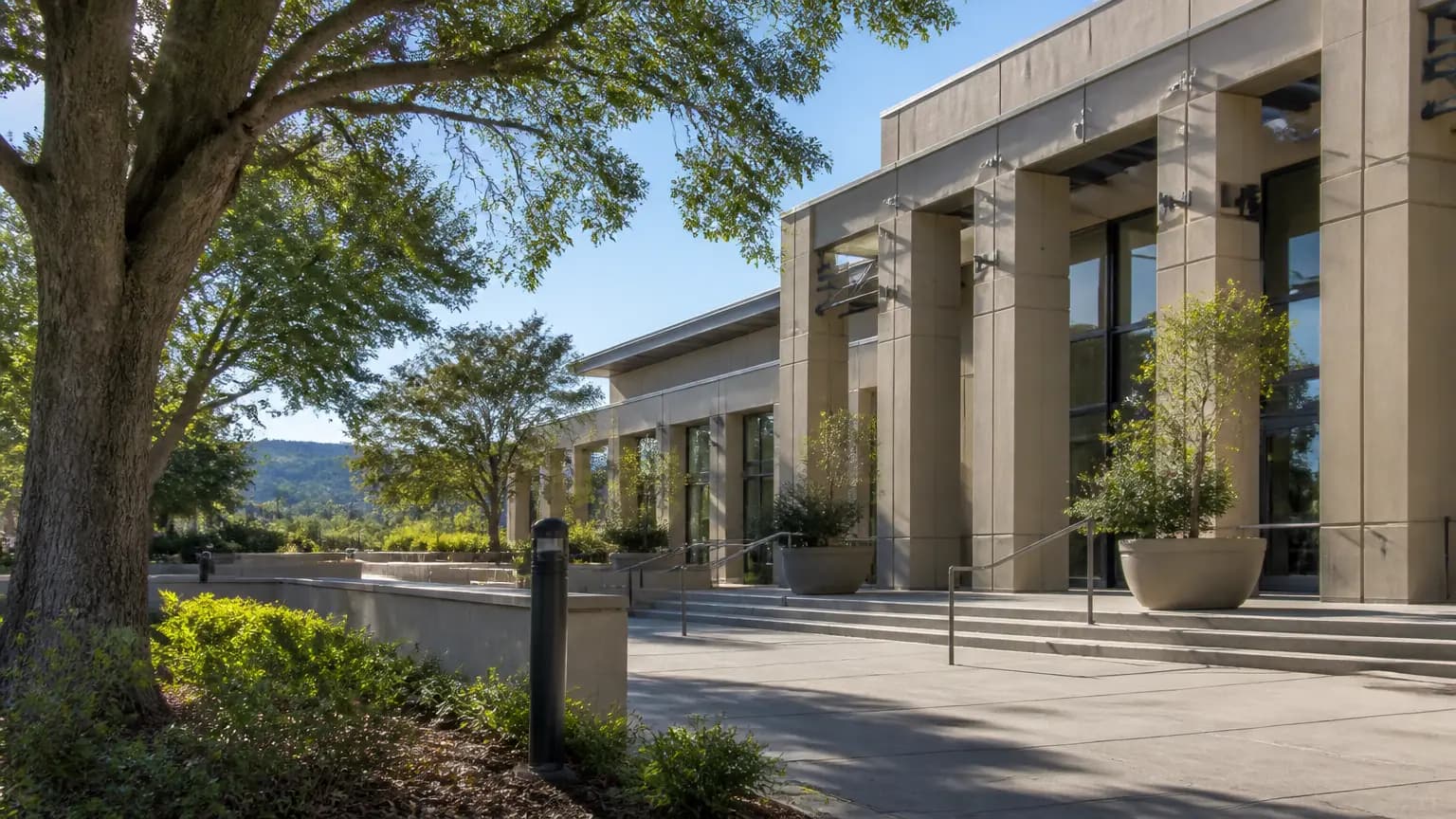 Council candidate roster set