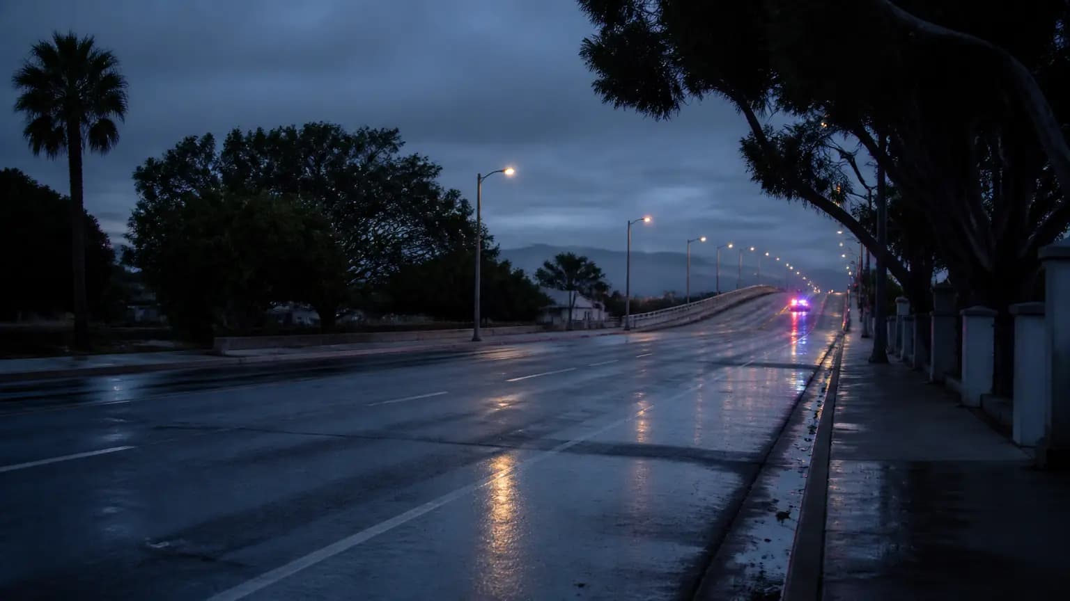 Fatal Traffic Crash Involving a Pedestrian 