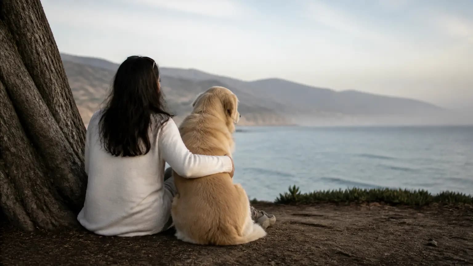 Good Bones: A Column About What Lasts