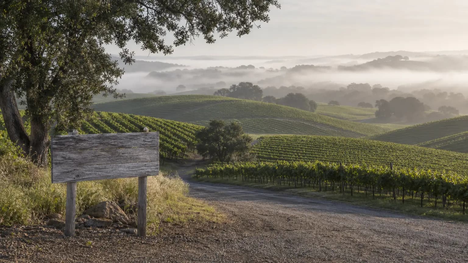 Monterey, Paso Robles vineyards hit the market