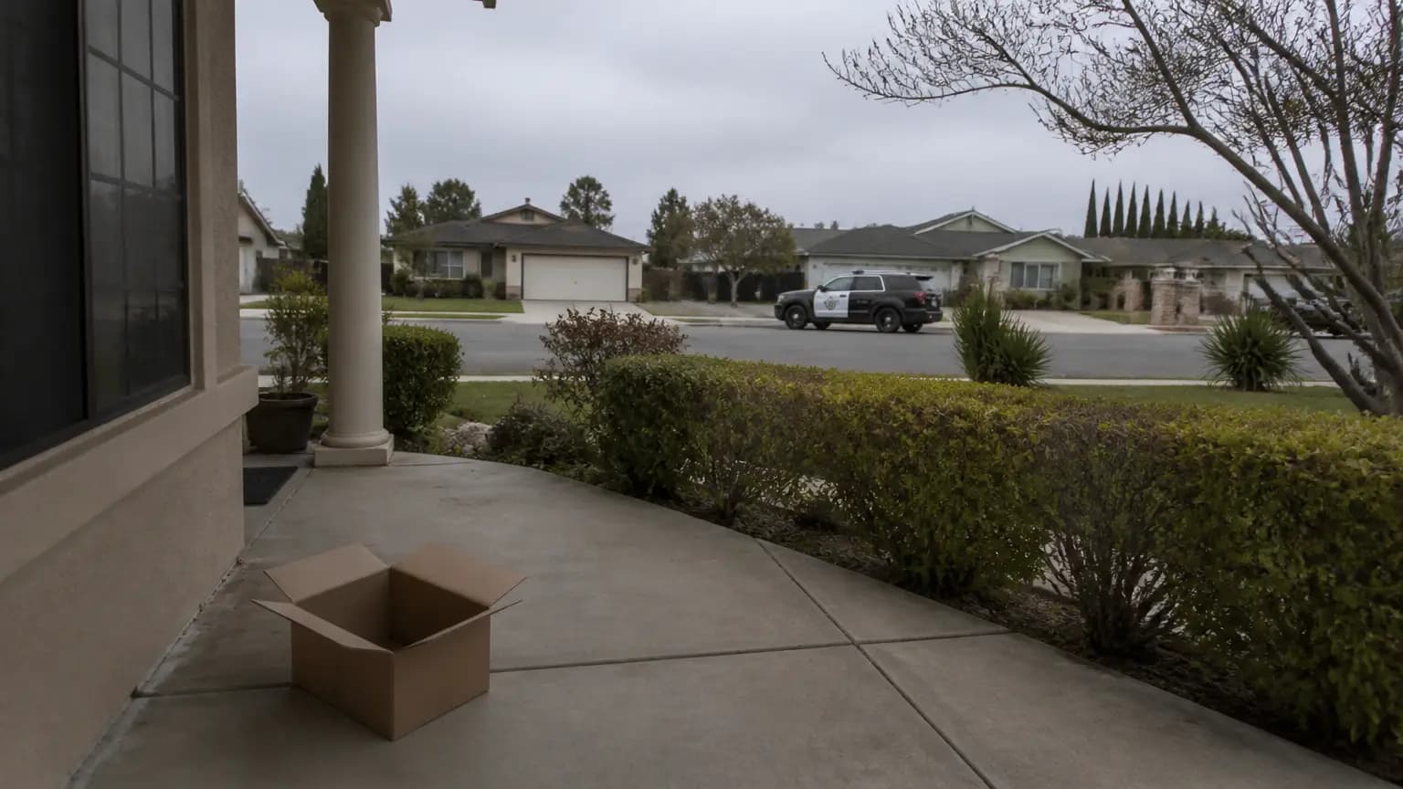 Package Theft Suspects Arrested