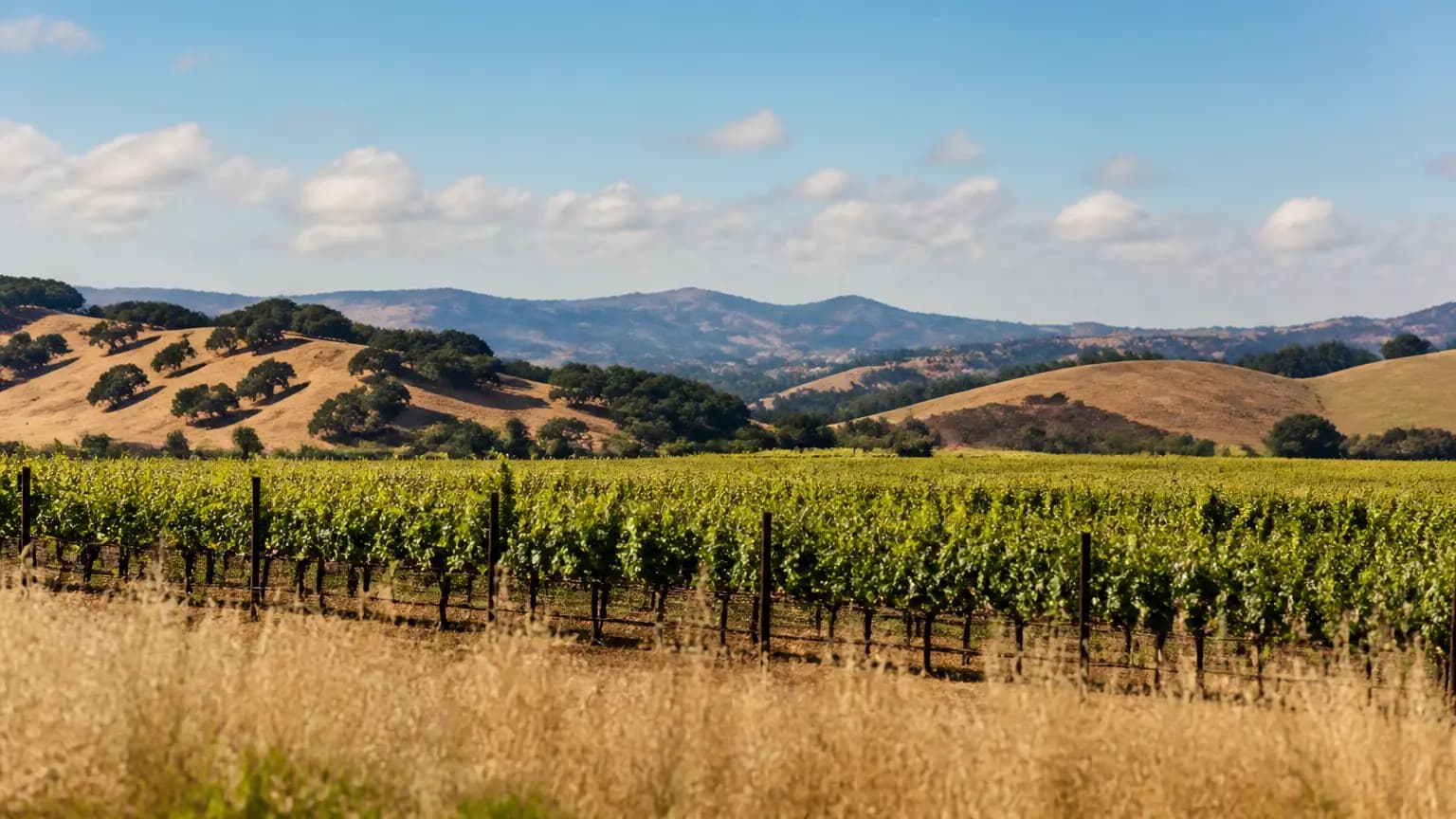 Paso Robles ties 2017 heat record Wednesday
