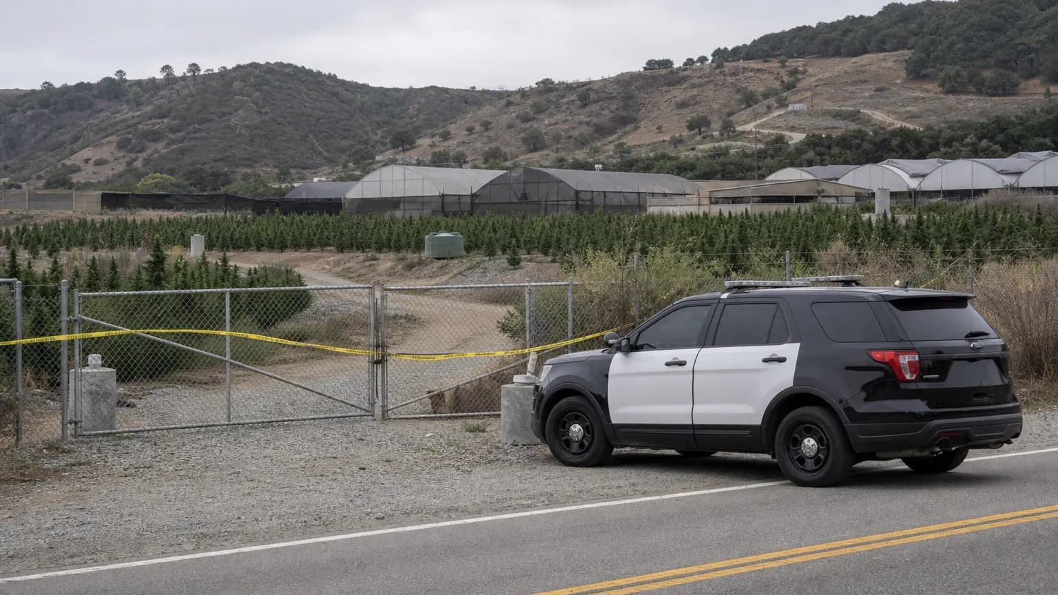 18 Suspects Identified in Connection with Carpinteria Cannabis Farm Burglaries
