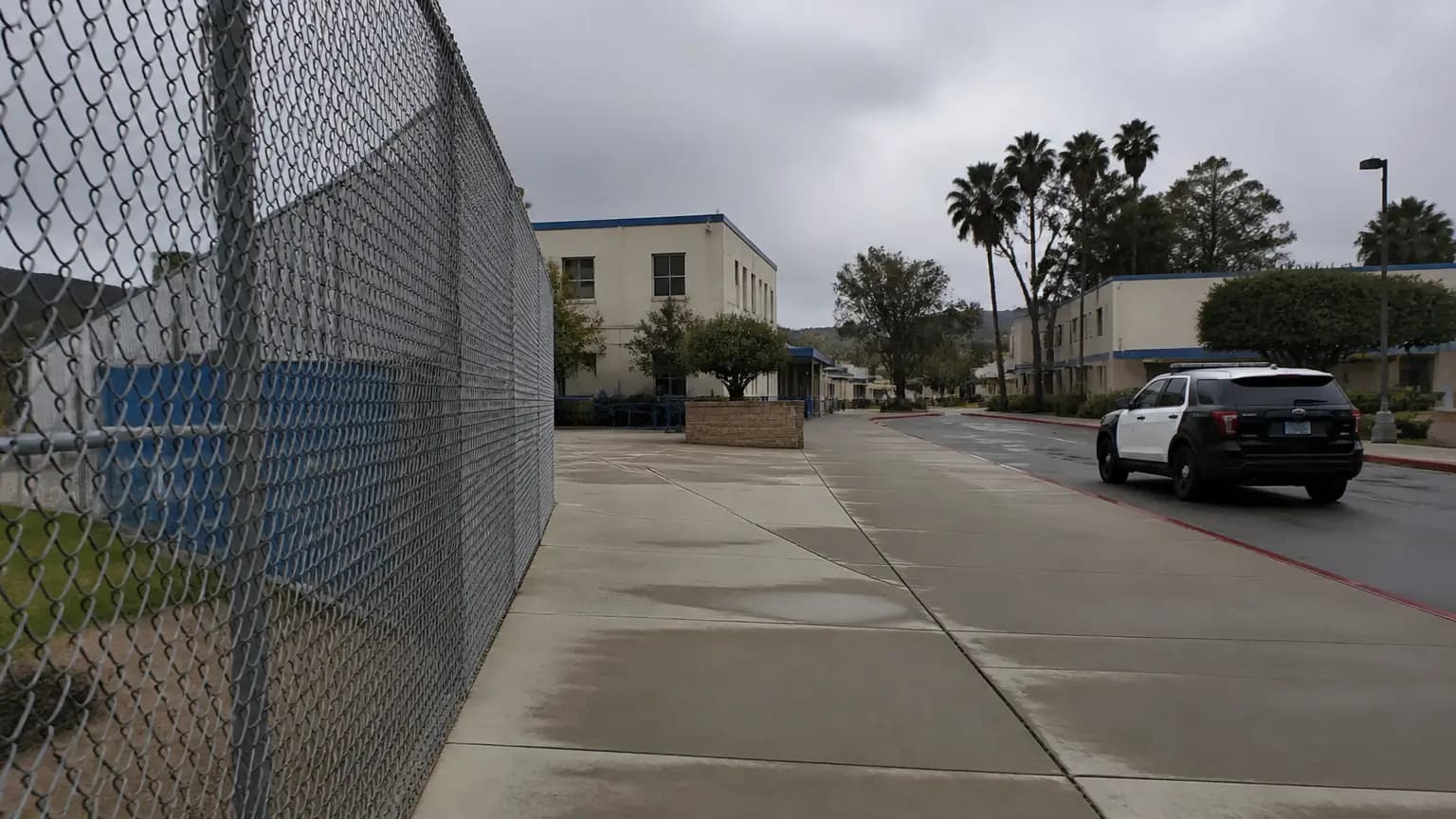 Buena High Teen Facing Felony Charge Related to Threatening Cat in the Hat Video
