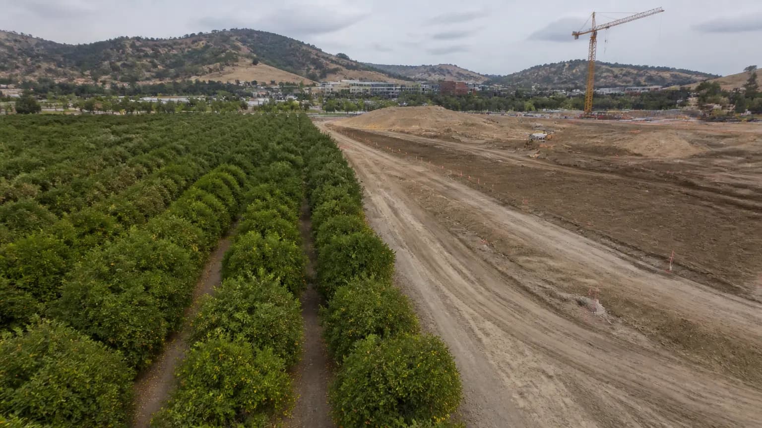 Cal Poly considers building hotel with conference center, senior housing