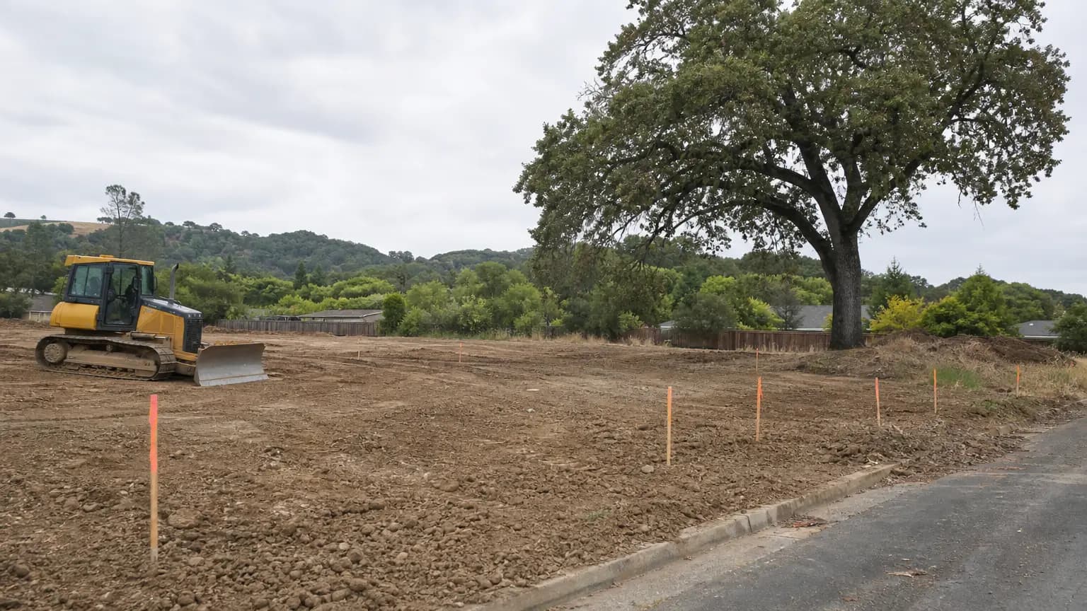 Council advances 60-unit condo project requiring removal of 52 trees