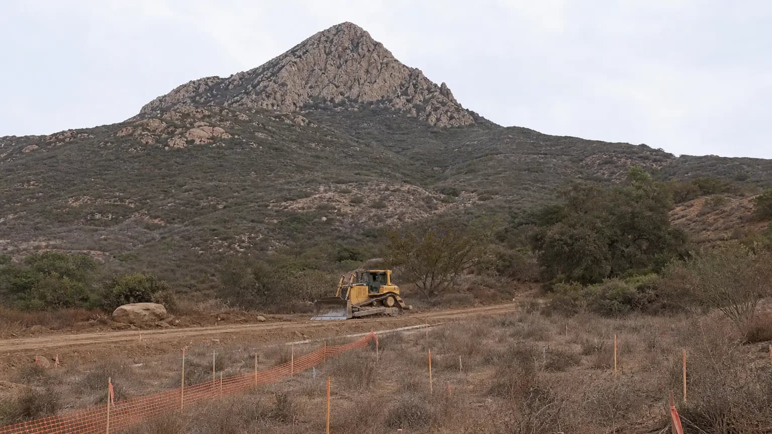 Court hearing set for housing development at Ladyface