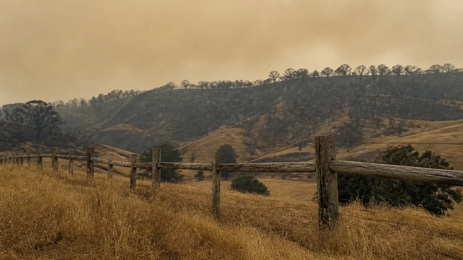 Digger is an excessive and gloomy look at climate change