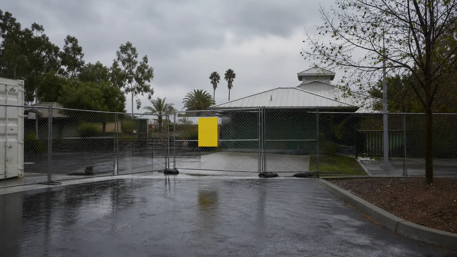 Dog Drowning Forces Camp Canine to Temporarily Shut Down, Community Outraged