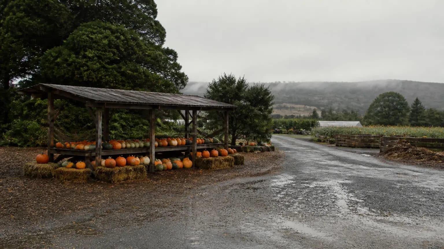 Eight new suspected E. coli cases in San Luis Obispo County