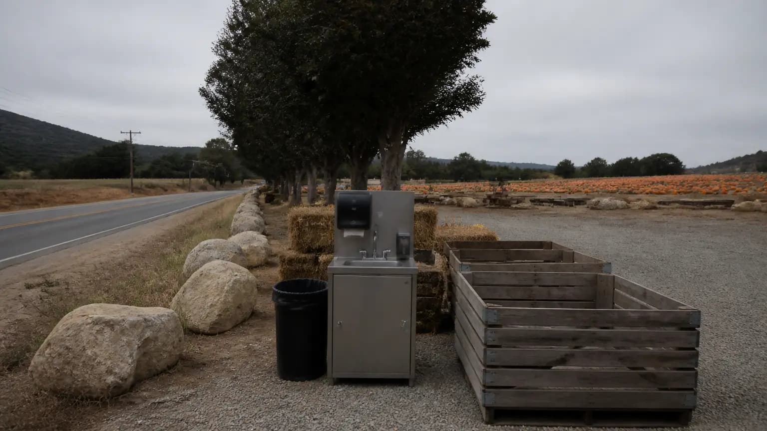 Five San Luis Obispo County residents test positive for E. coli