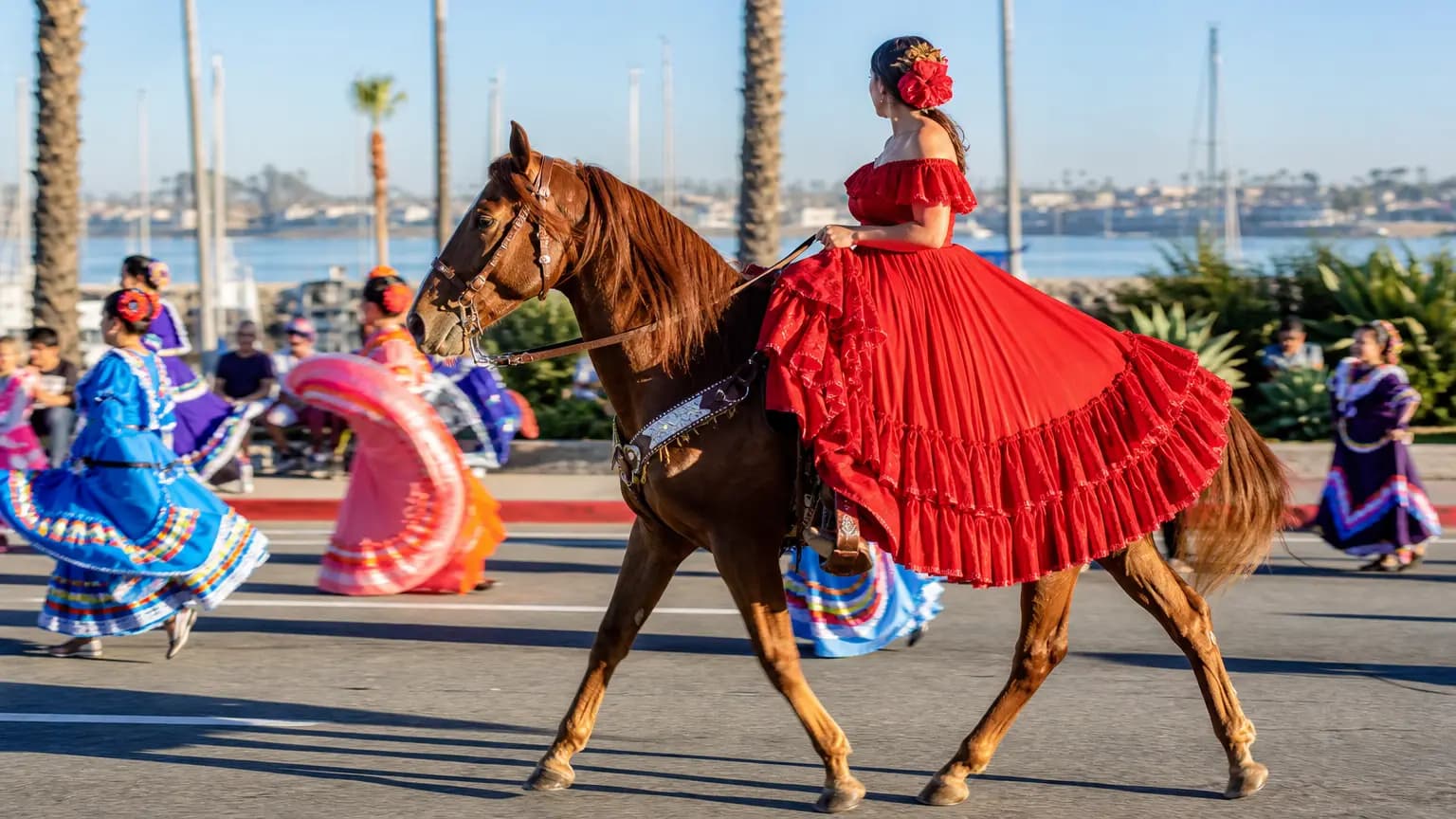 Horses from Across the Tri-Counties Fill Cabrillo Boulevard in Fiesta Historical Parade