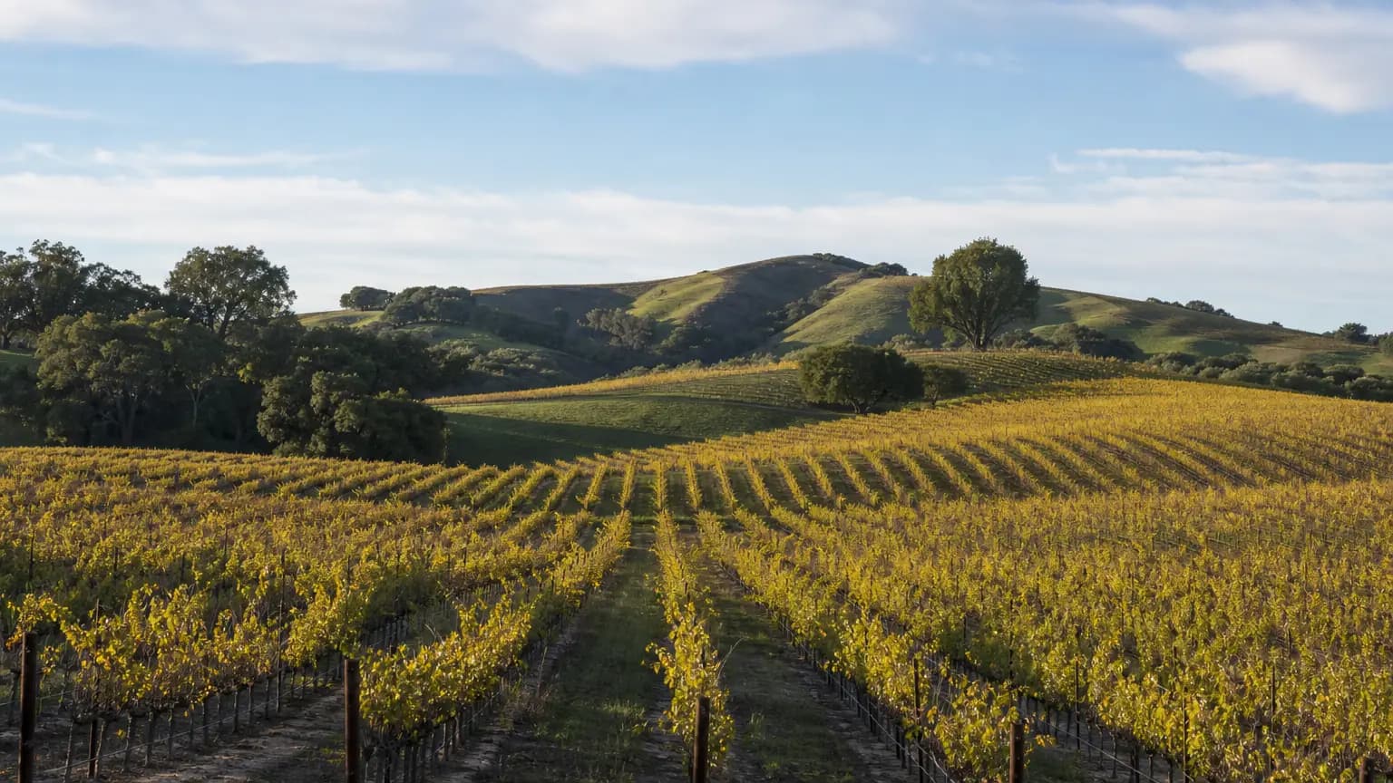 Hot, sunny weather in the forecast for Paso Robles this week