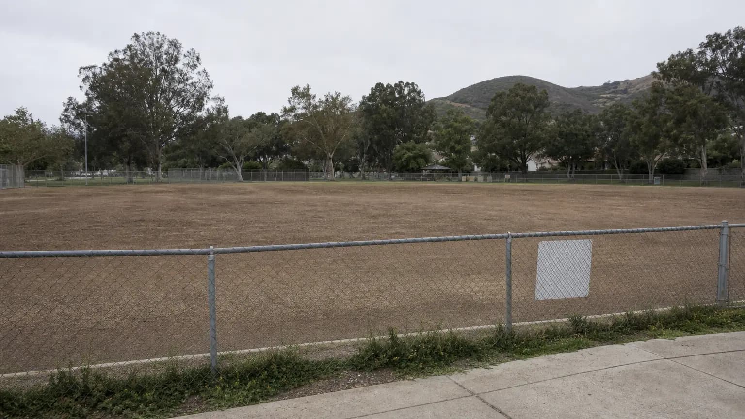How does removing a playing field in SLO increase access?