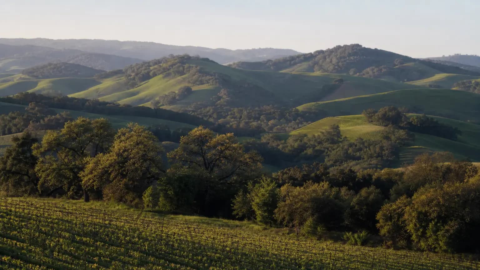 More hot, sunny weather in forecast for Paso Robles this week