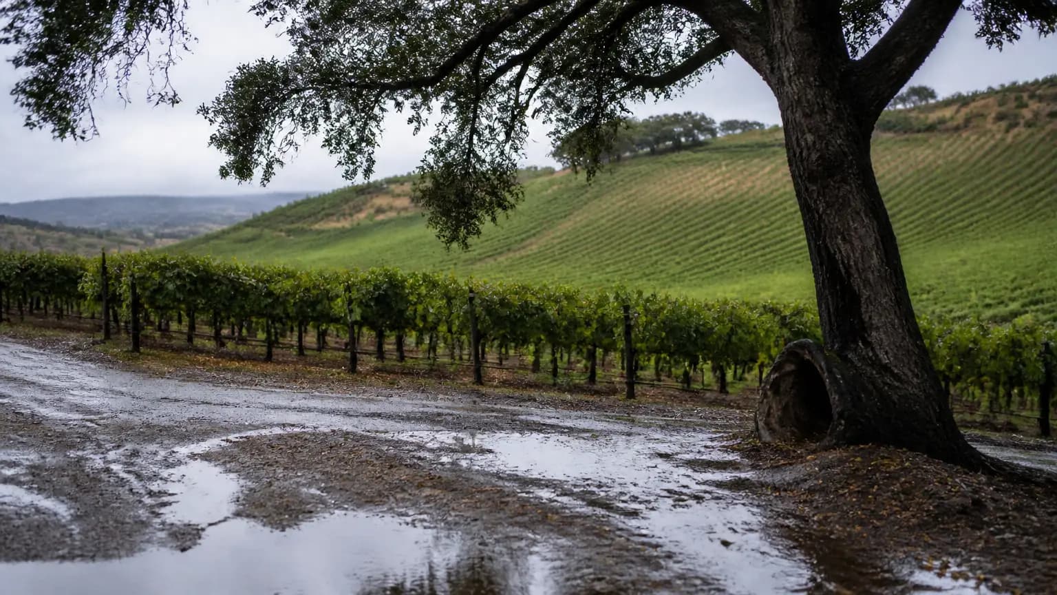 Paso Robles records 0.84 inch of rain, dry weekend ahead