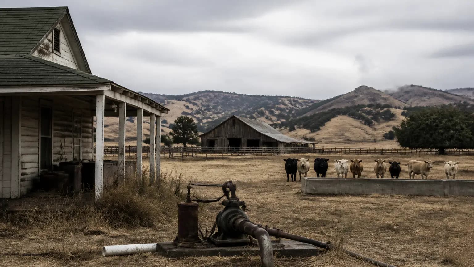Power outages frustrate San Luis Obispo County farmers, residents