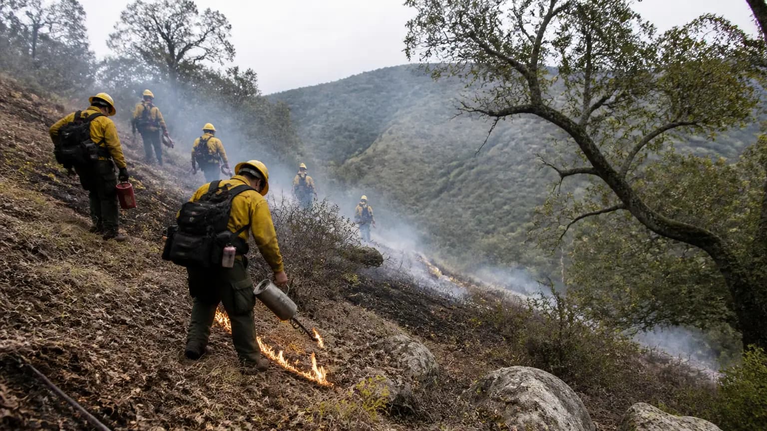 Prescribed Burn in Tepusquet Canyon Planned This Fall