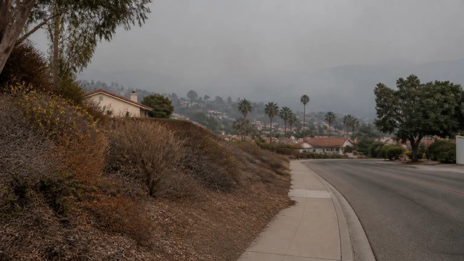 Red Flag Warning issued October 16 at 5:42PM PDT until October 17 at 8:00PM PDT by NWS Los Angeles/Oxnard CA