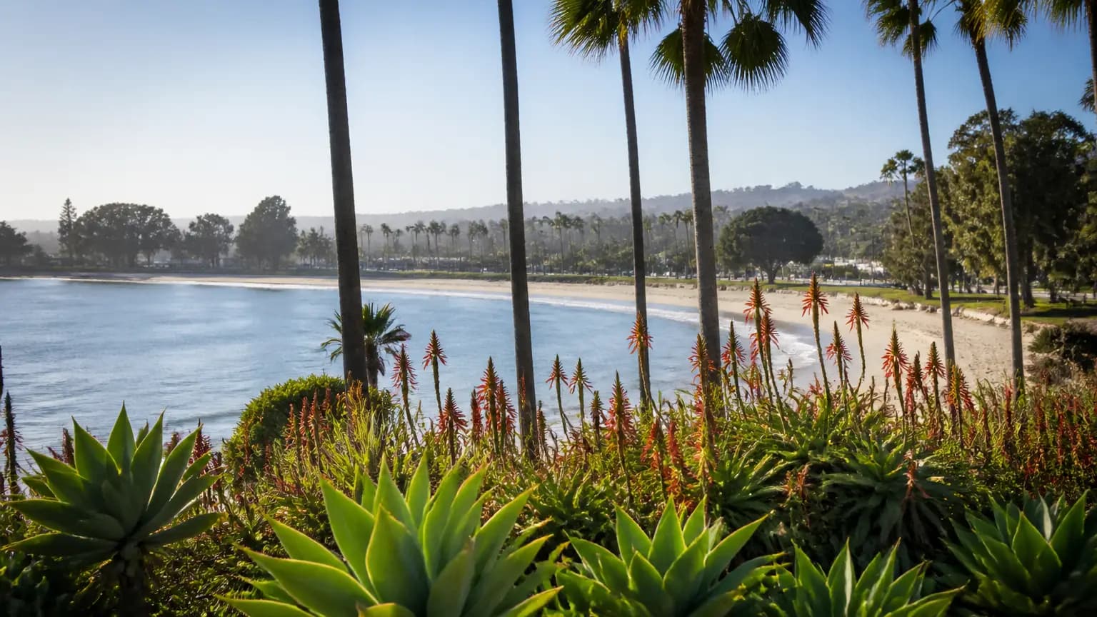 Santa Barbara Culinary Experience Awards Grants to 7 Nonprofits