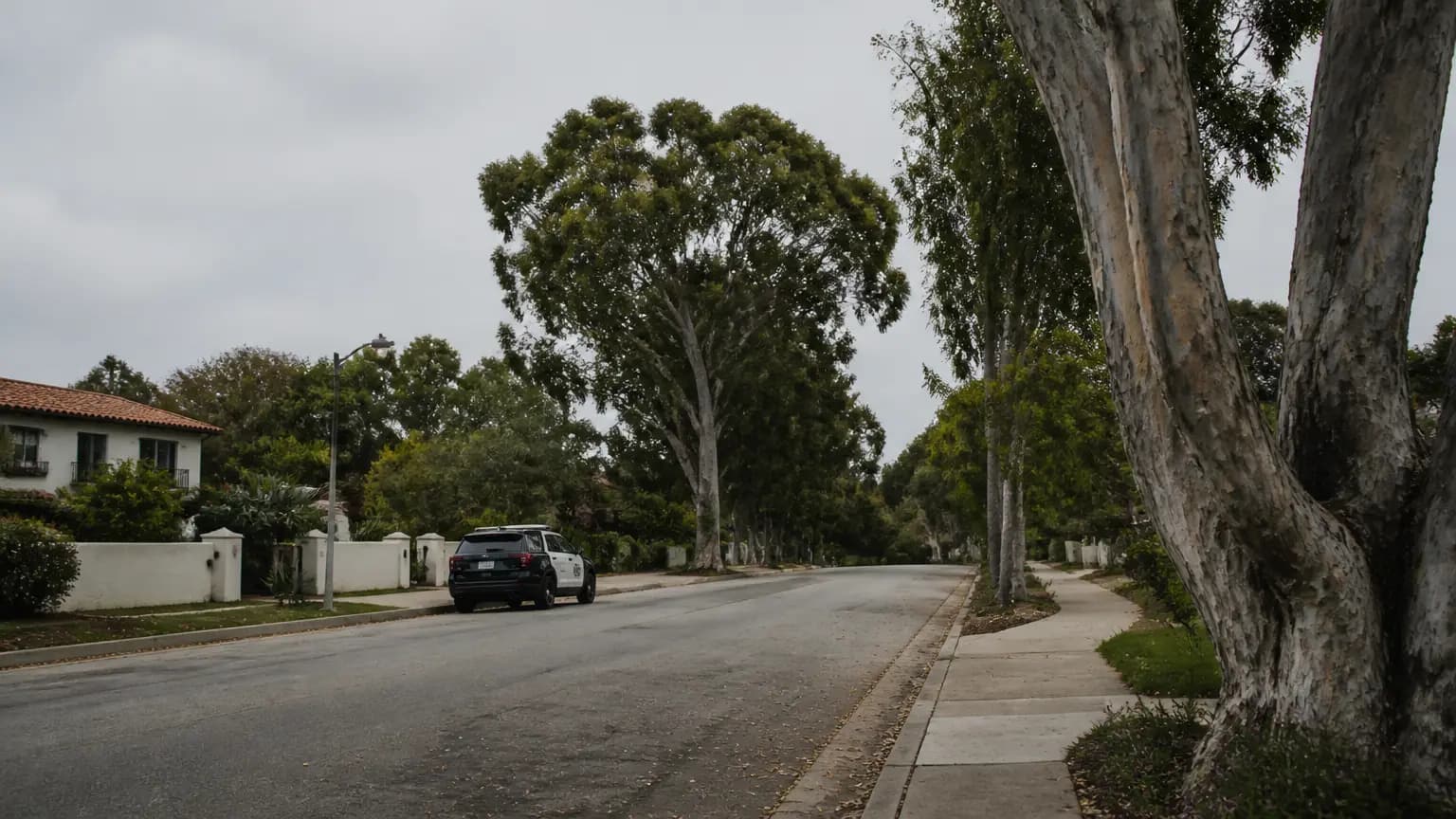 Santa Barbara man arrested after waving knife during domestic incident