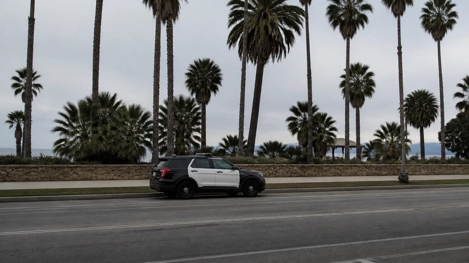 Santa Barbara Police Identify Victim of Homicide in Chase Palm Park