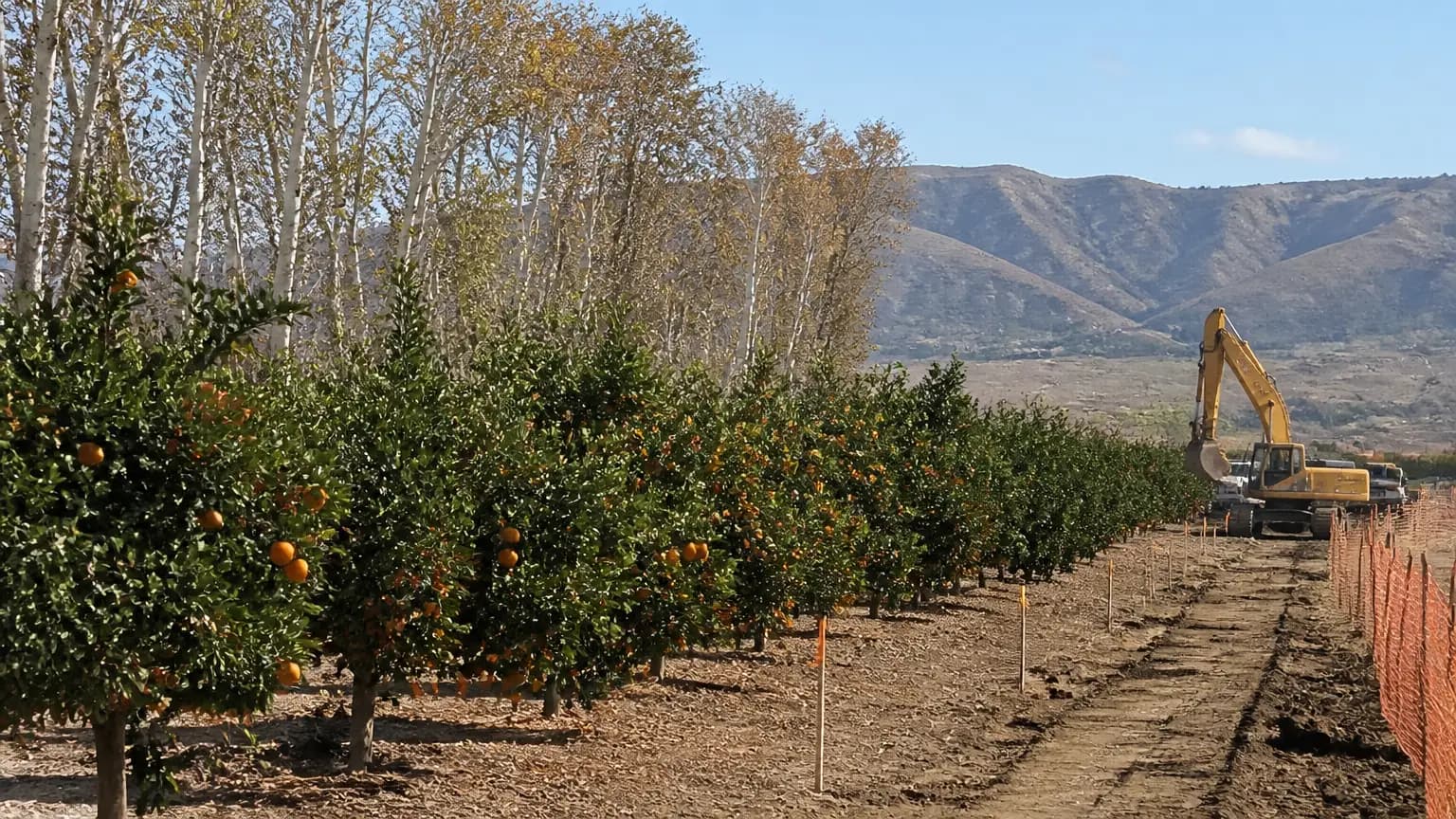 Transit center squeezes out Simi’s historic citrus grove