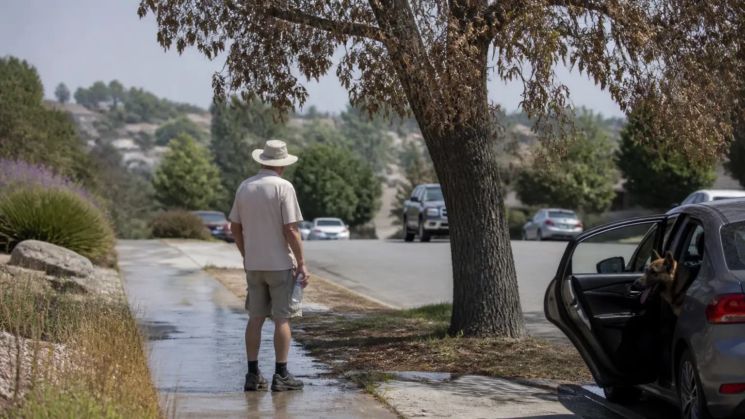 Triple digits in the forecast next week for Paso Robles