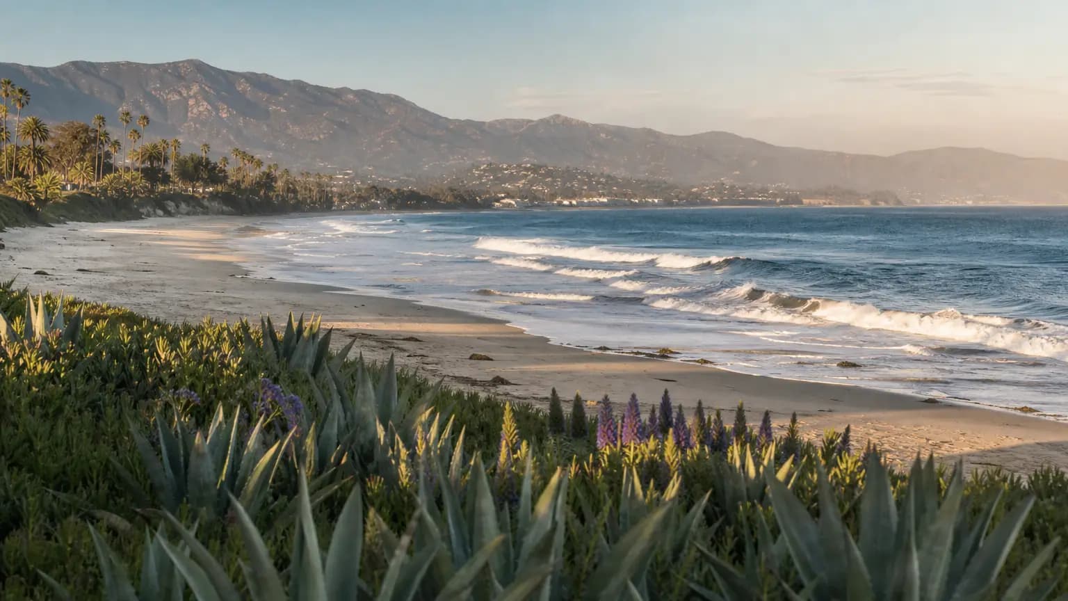UC Santa Barbara Team Saves Historic Aerial Photos Critical to Coastal Research