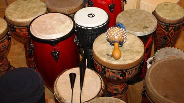 Conjunto Primavera Mexican Concert